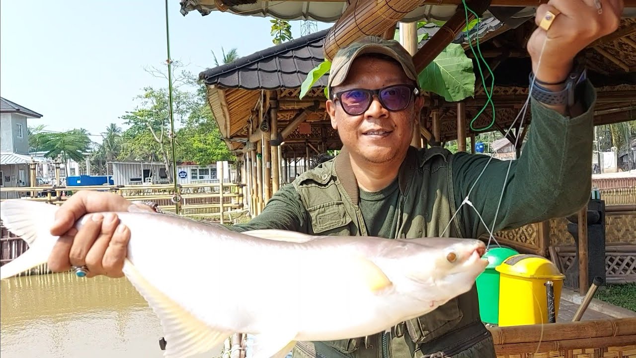 Inilah 4 Wisata Kolam Pemancingan Patin Tangerang